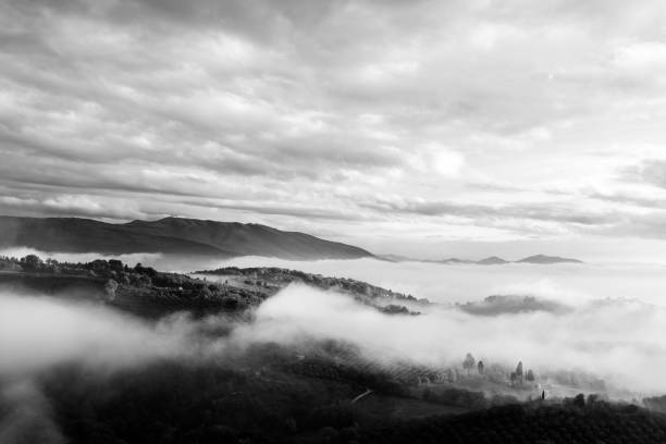 istock A valley in autumn filled by mist at sunset, with emerging hills and trees 859547556