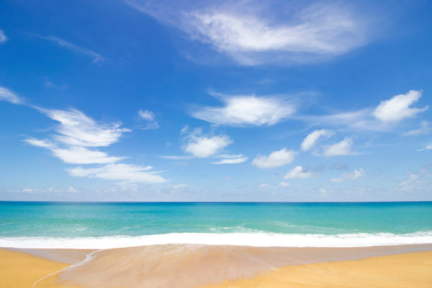 istock Wave and brown sand  in summer sky 859548570