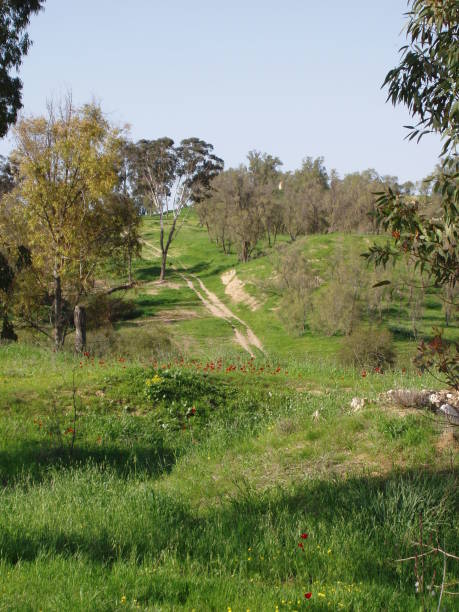 istock View from the top of the hill 859553730