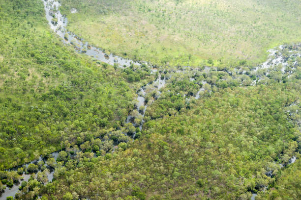 inundaciones de ríos, kakadu - kakadu fotografías e imágenes de stock