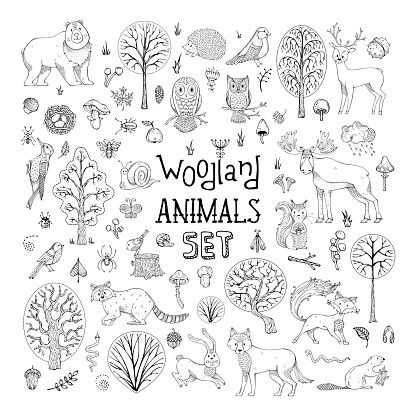 Hand-drawn collection for children colouring books, invitations, cards and posters. Deer, fox, hedgehog, owl, hare, raccoon, snail, squirrel, bee, mushroom, tree.