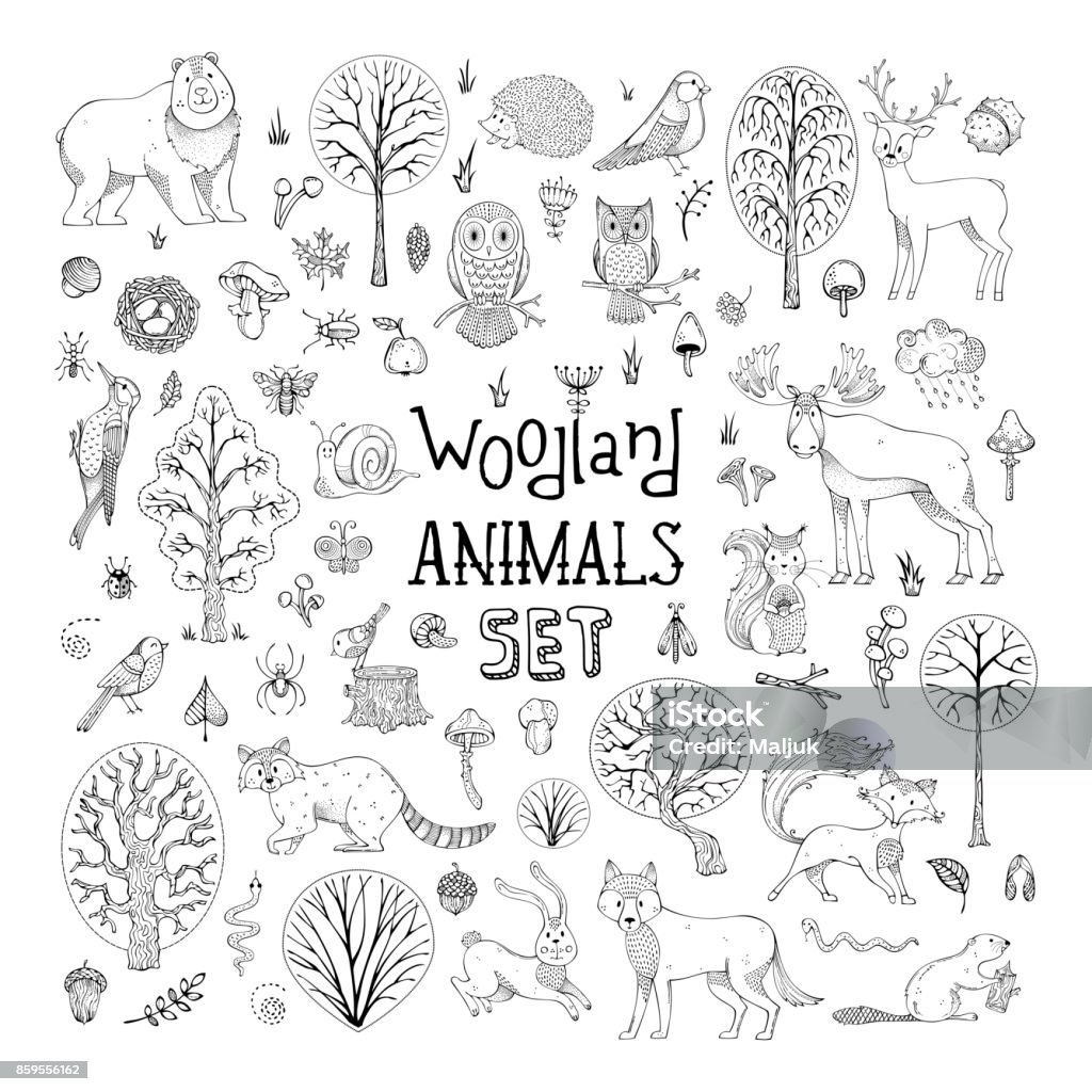 Vector Doodles Woodland Animals Set Stock Illustration - Download Image Now  - Animal, Woodland, Forest - iStock