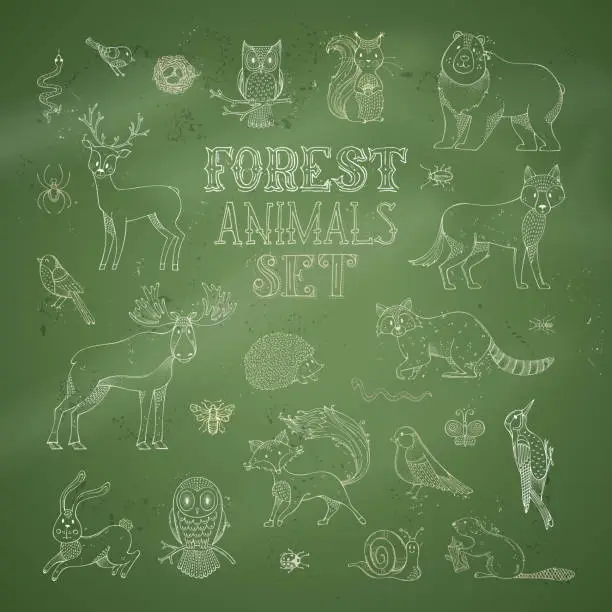 Vector illustration of Vector set of chalk forest animals on green blackboard background.