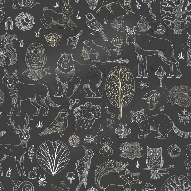 Vector chalk woodland seamless pattern on blackboard background. Autumn trees, mushrooms and leaves. Wild animals, birds and insects. Fox, deer, moose, bear, hare, squirrel, hedgehog, owl, snail. woodland park zoo stock illustrations