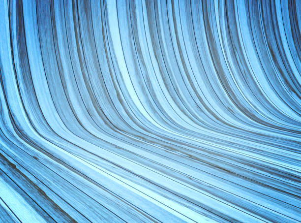 istock Modern Curved wooden background. Curved wooden interior. 859556204