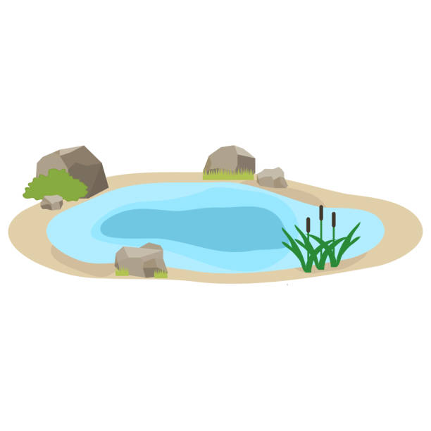 Lake icon Lake icon. Flat design, vector illustration, vector. pond fountains stock illustrations