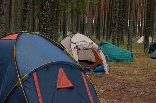 Tent camp in the forest stock photo