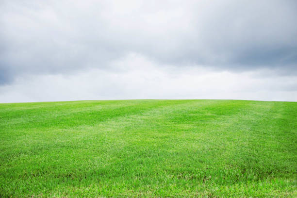istock Green hills with skies. 859564888