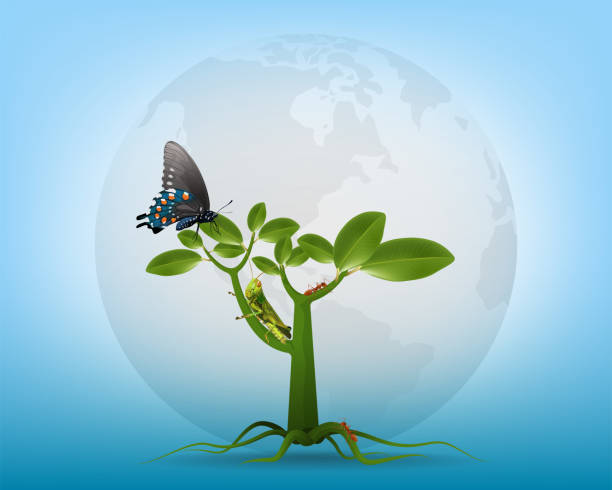 蝶、バッタ、アリは、木。ツリーは、明るい青の背景に地球概念のすべての生命の本質です。ベクトル イラスト。 - backgrounds isolated insect grasshopper点のイラスト素材／クリップアート素材／マンガ素材／アイコン素材