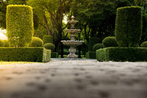 istock Fountain in the park with hard sun light 859571814