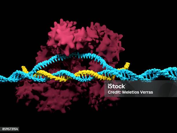 Crisprcas9 System Stock Photo - Download Image Now - CRISPR, Cas9, DNA