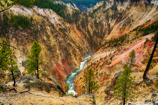 View at a vivid Grand Canyon of the Yellowstone and Yellowstone river seen from Artist Point. Yellowstone National Park, Wyoming, USA