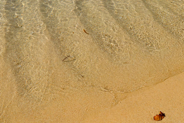 istock Amazing beach at Seychelles. Background and texture 859579150