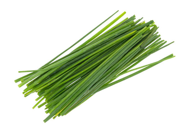 istock Organic chives isolated on a white background 859579698