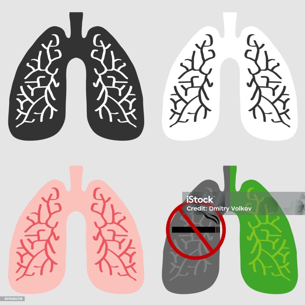 The lungs of man The lungs of man. Flat design, vector illustration, vector. Art stock vector