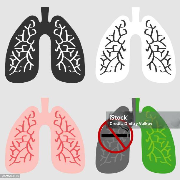 The Lungs Of Man Stock Illustration - Download Image Now - Art, Lung, Anatomy
