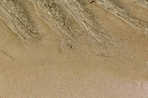 istock Amazing beach at Seychelles. Background and texture 859580434