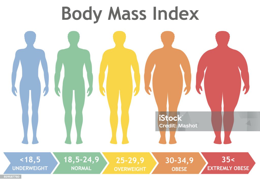 Body-mass-Index Vektor-Illustration von Untergewicht, stark übergewichtig. Mann-Silhouetten mit verschiedenen Adipositas Grad. - Lizenzfrei Body-Mass-Index Vektorgrafik