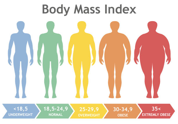 illustrations, cliparts, dessins animés et icônes de corps indice de masse illustration vectorielle de l’insuffisance pondérale à extrêmement obèses. silhouettes homme avec des degrés différents de l’obésité. - weight scale dieting weight healthcare and medicine