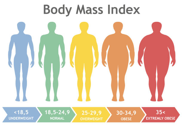 иллюстрация вектора индекса массы тела от недостаточного веса до крайне ожирения. силуэты мужчин с разной степенью ожирения. - weight loss stock illustrations
