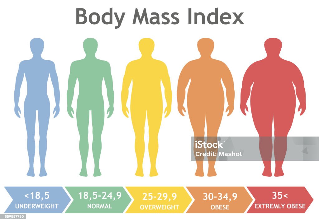 Body mass index vector illustration from underweight to extremely obese. Man silhouettes with different obesity degrees. Body mass index vector illustration from underweight to extremely obese. Man silhouettes with different obesity degrees. Male body with different weight. Body Mass Index stock vector