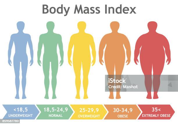 Body Mass Index Vector Illustration From Underweight To Extremely Obese Man Silhouettes With Different Obesity Degrees Stock Illustration - Download Image Now