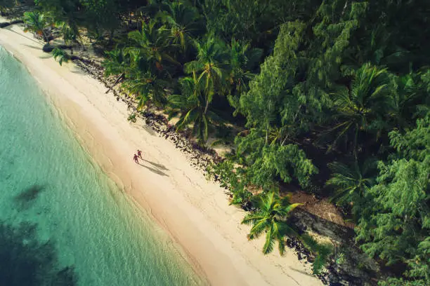 Photo of Aerial view of tropical island beach, Punta Cana. Dominican Republic