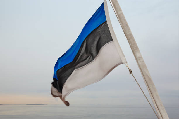 istock Estonian flag waving at dawn. European state. 859587900