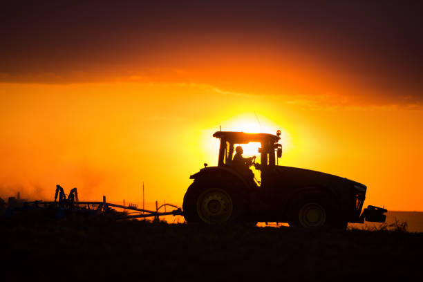 farmer in tractor preparing land with seedbed cultivator, sunset shot - seedbed imagens e fotografias de stock