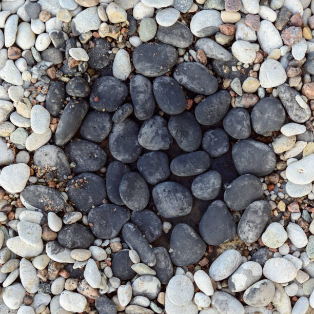 istock Pebbles in rock garden 859588576