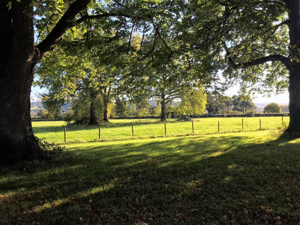istock English countryside 859591968