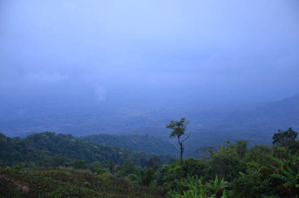 istock Landscape of Phu Thap Boek ( Name of the hill ) 859593900