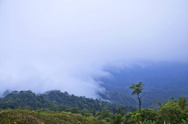 istock Landscape of Phu Thap Boek ( Name of the hill ) 859595982