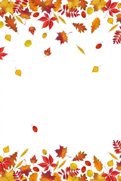 Vector illustration of Autumn leaves border isolated on white background