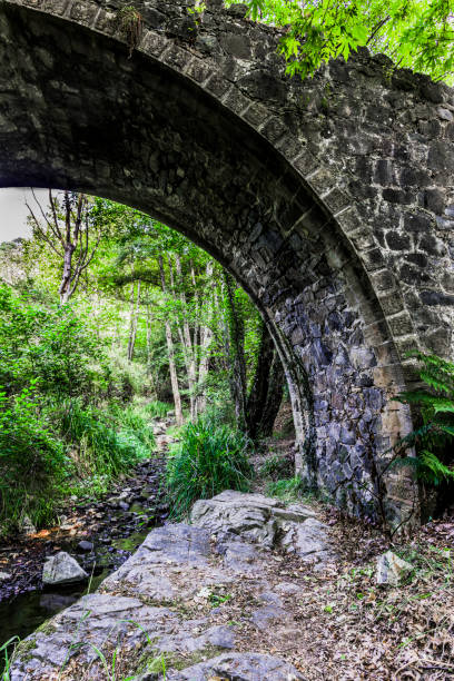 istock Stone arch of Old Venetian bridge 859599710
