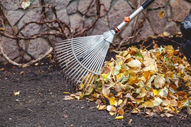istock rolling rakes collect fallen leaves in big pile 859610902