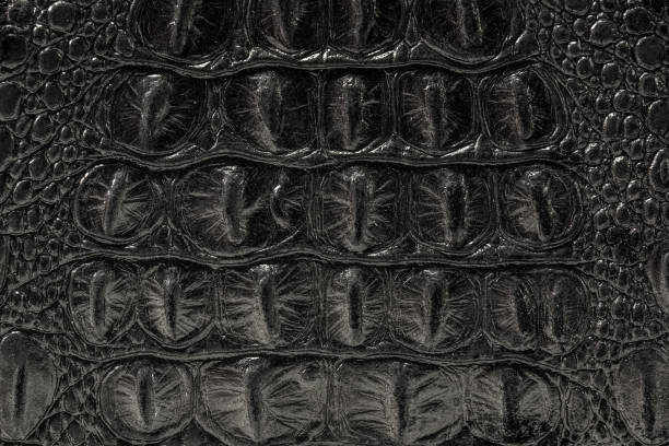 istock the texture of the skin is gray 859611844