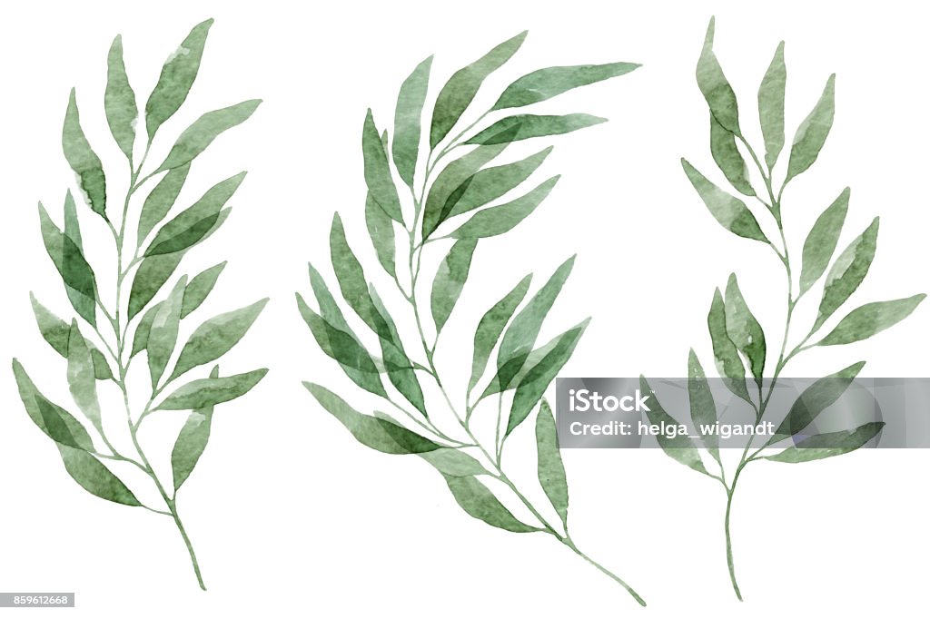 Set of watercolor eucalyptus leaves and branches A set of watercolor eucalyptus leaves and branches. Design elements for patterns, laurels and compositions for wedding or invitations in floral style. Real watercolor. Botanical illustration. Watercolor Painting stock illustration