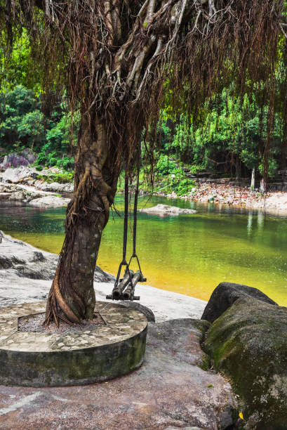 istock swings on a tree on the banks of a mountain river. 859612708