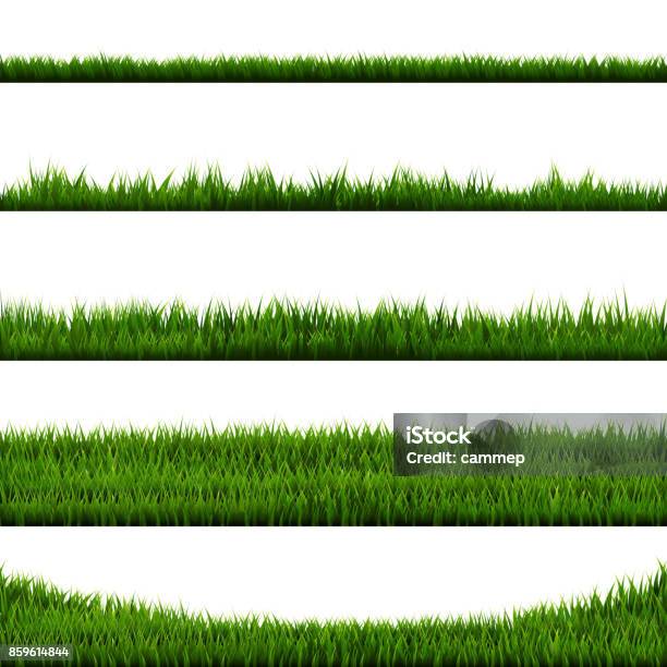 Green Gras Stock Vektor Art und mehr Bilder von Gras - Gras, Texturiert, Rasen