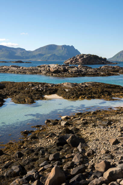 istock henningsvaer at Lofoten in Norway 859616506