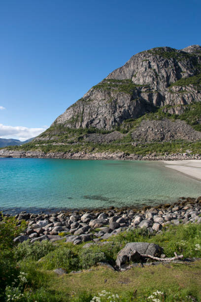 istock henningsvaer at Lofoten in Norway 859616566