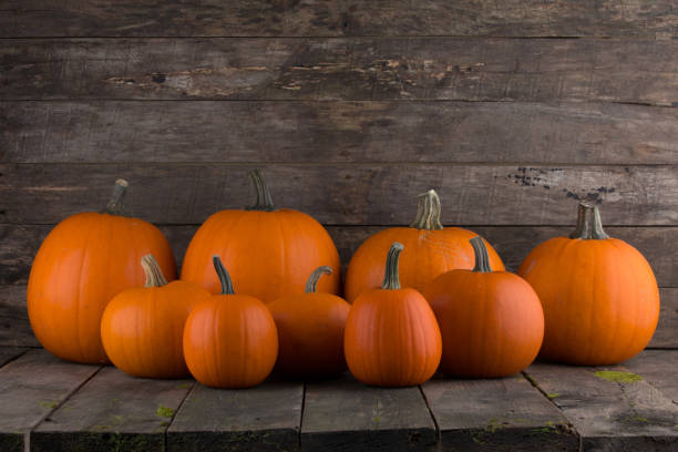 istock Pumpkins on wooden background 859616924