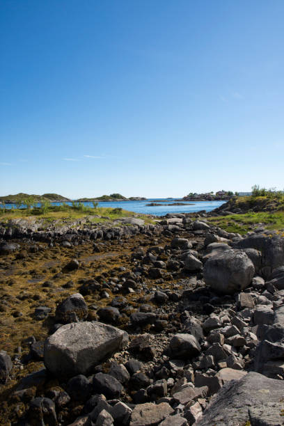 istock panoramic view at Svolvaer in the Lofoten 859620202