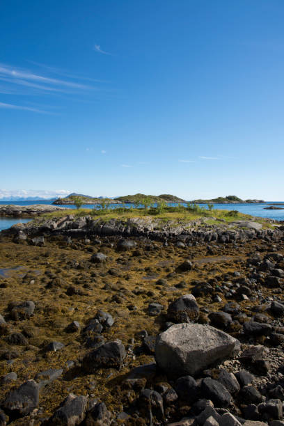 istock panoramic view at Svolvaer in the Lofoten 859620338