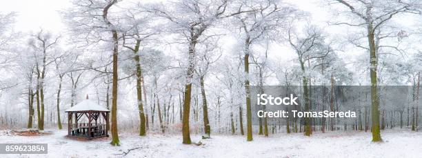 Winter Landscape Carpathian Slovakia Bratislava Stock Photo - Download Image Now - Birch Tree, Christmas, Beauty