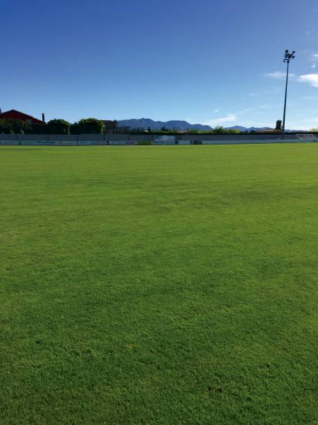 istock Football field 5 859623928