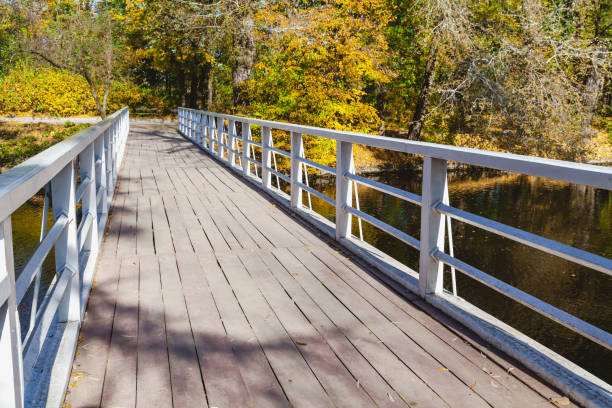 istock Wooden footbridge over the river a bright autumn day 859624012