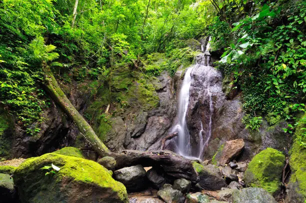 Colombia, wild Darien jungle of the Caribbean sea near Capurgana resort and Panama border. Central America. Waterfall into the jungle