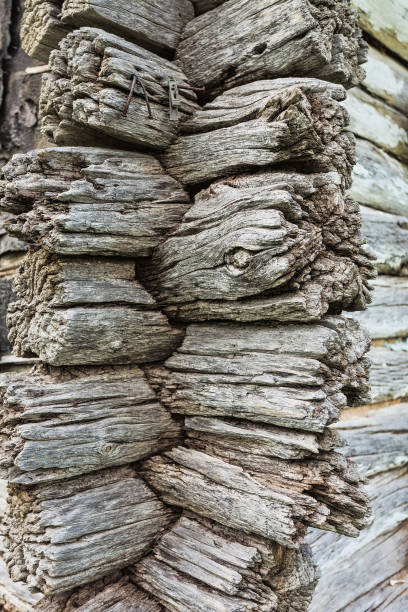 istock Old wooden wall made of brown logs 859627368